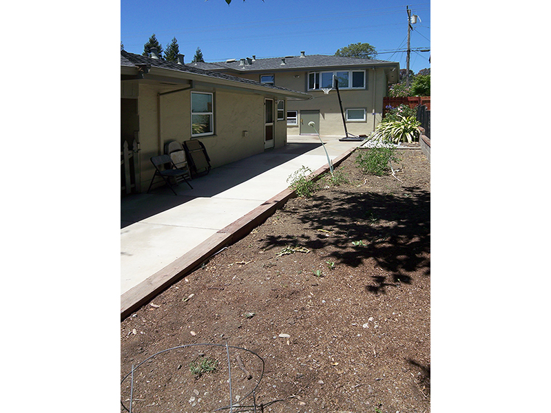 Vegetable Garden Area