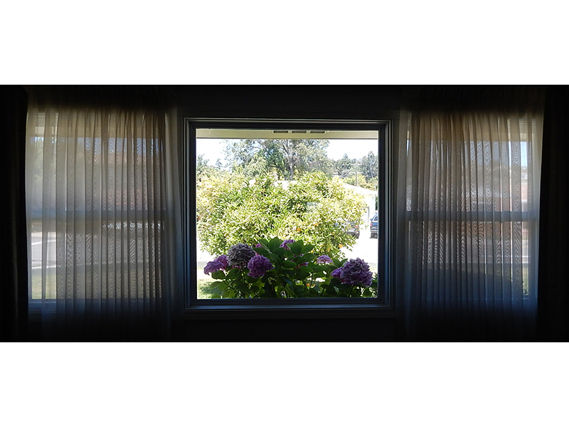 Picture Window