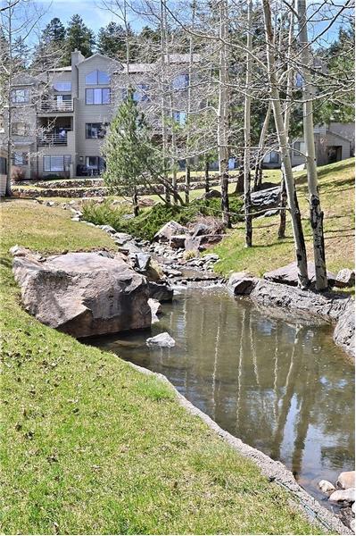 Stream and Ponds Behind Unit