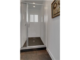 Master bath shower