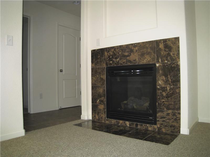 Fireplace with marble trim