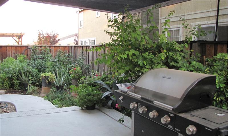 Patio & curved walkways to the side yards
