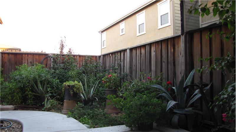 Garden area