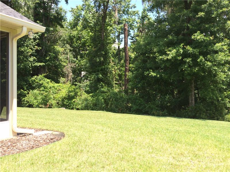 Back Yard Privacy