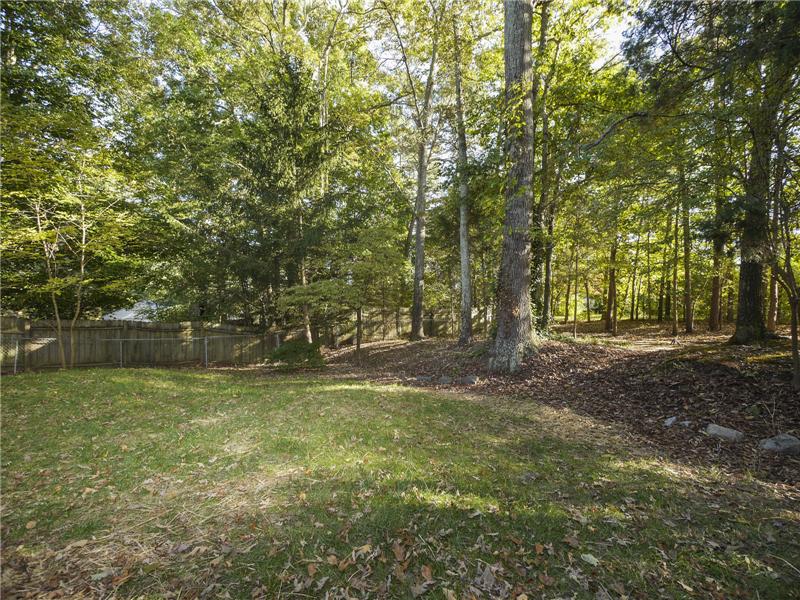 Private wooded backyard