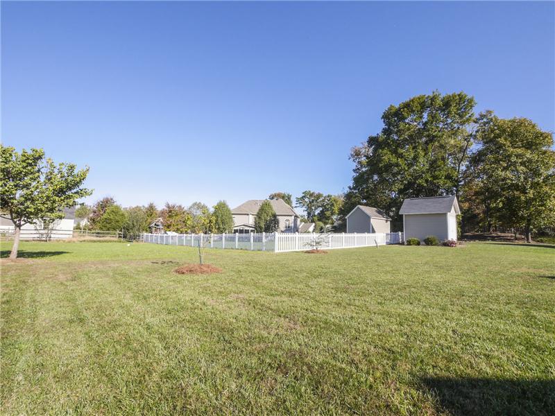 Big level backyard