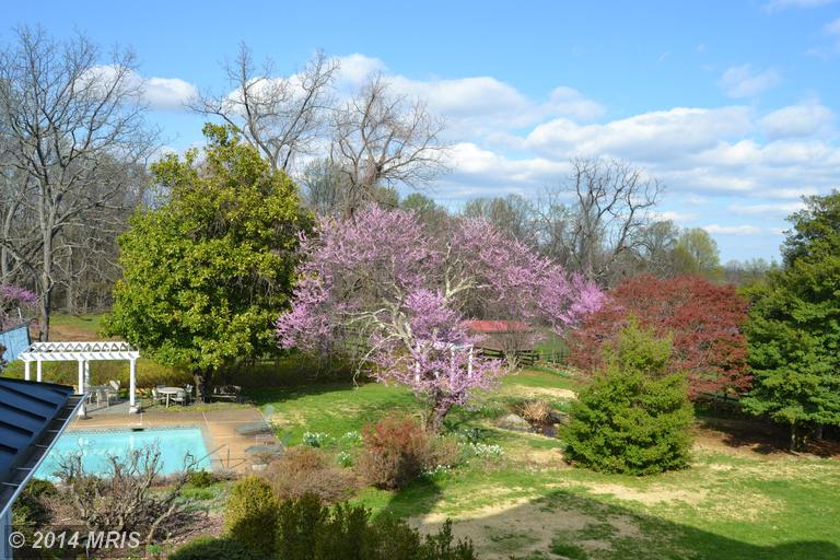 Property pictures of Canby Road, Leesburg, VA 20175, USA Leesburg, VA