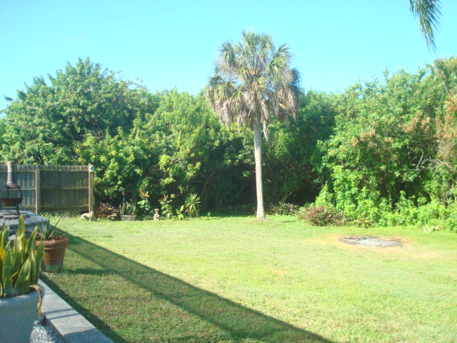 Private backyard oasis