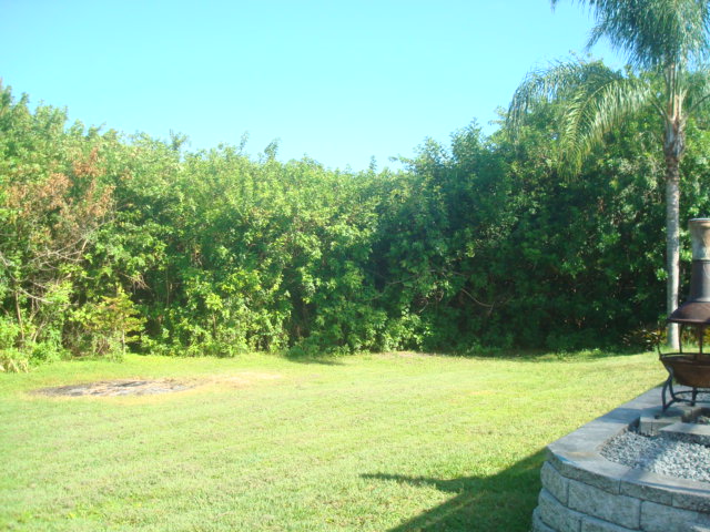 Private backyard oasis