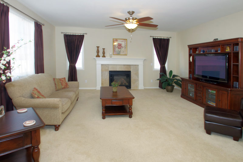 Gas fireplace with blower in the Great Room.