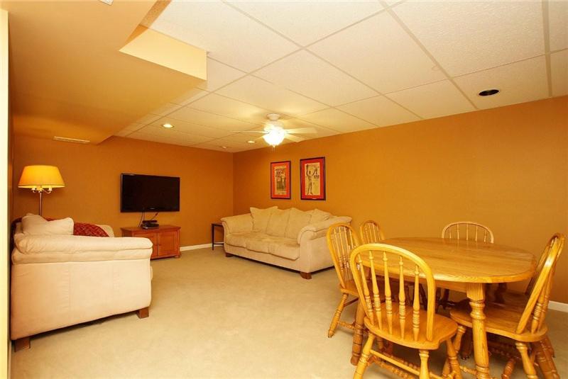 Lower level family room