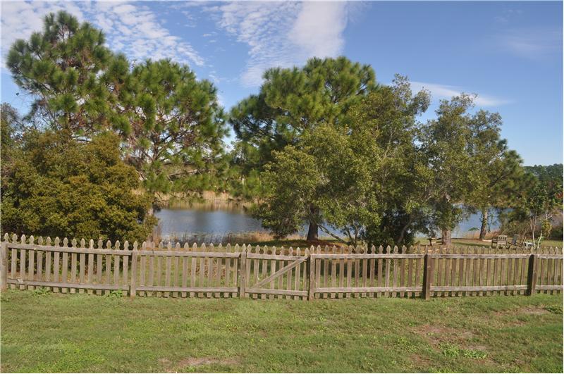 View of the Lake from the back yard