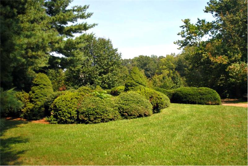 Landscaped yard