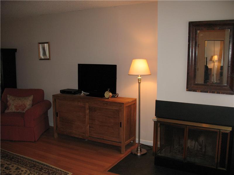 Living Room / fireplace