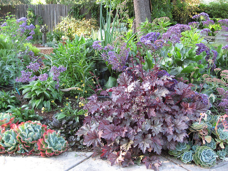 Garden detail