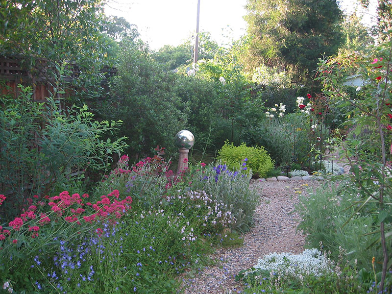 Garden path