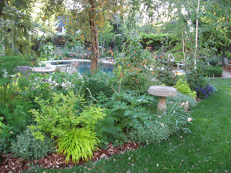 Pool and grounds