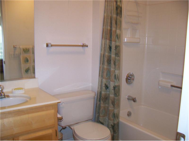 Guest bath