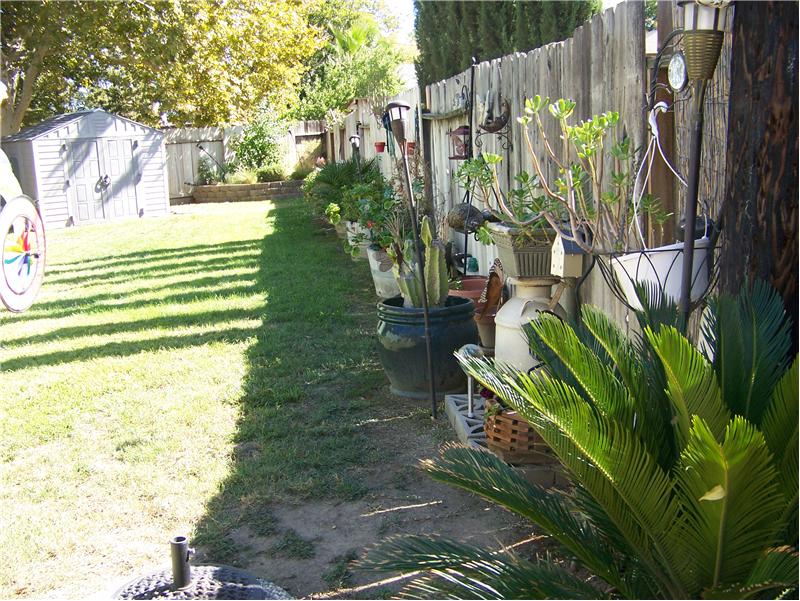 Back fence