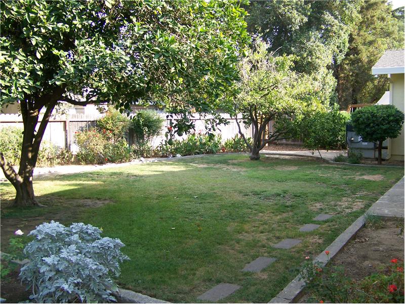 Backyard