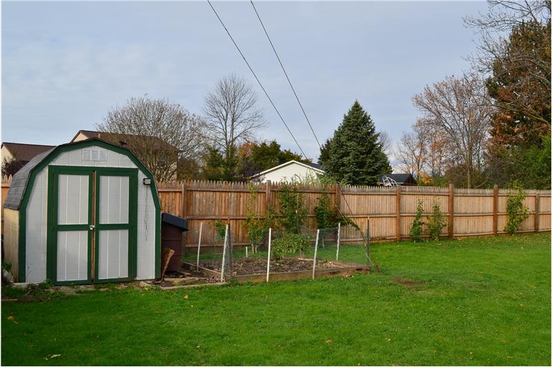 Shed/Yard
