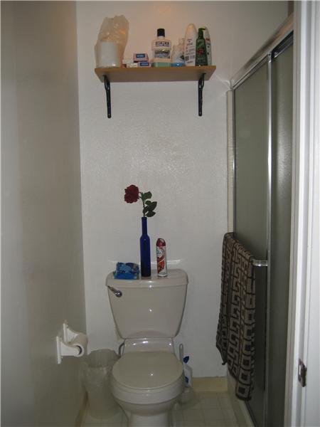 Master Full Size Stall Shower & Privacy Commode