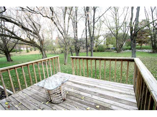Yard/Garden