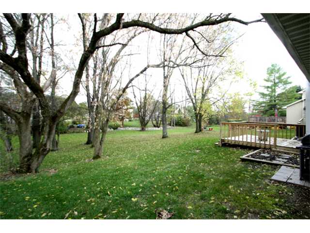 Yard/Garden
