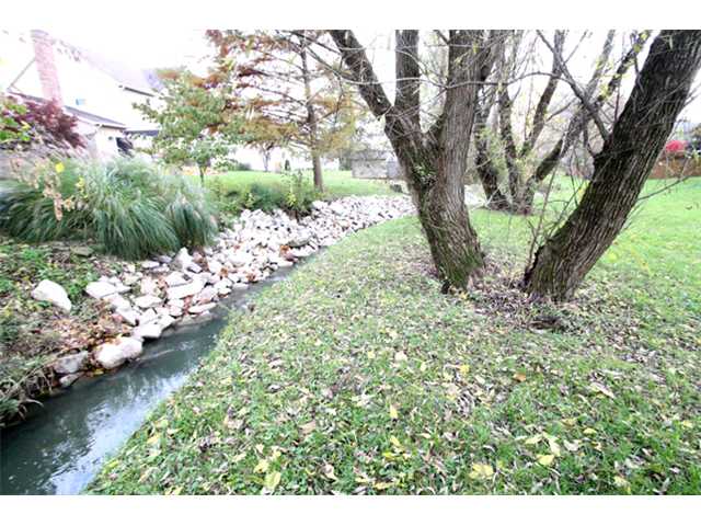Yard/Garden