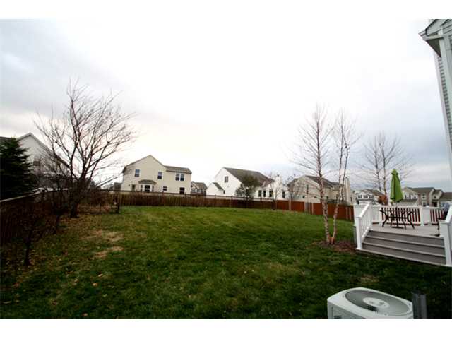 Yard/Garden