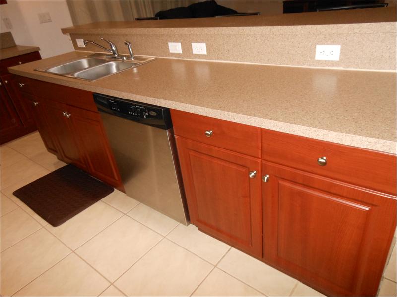 Kitchen Counter and Bar area