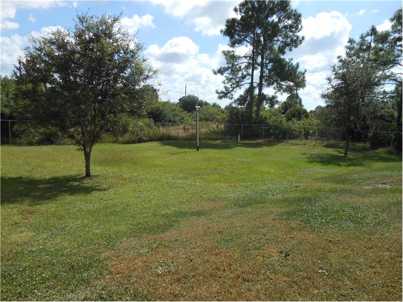 Fenced Back Yard