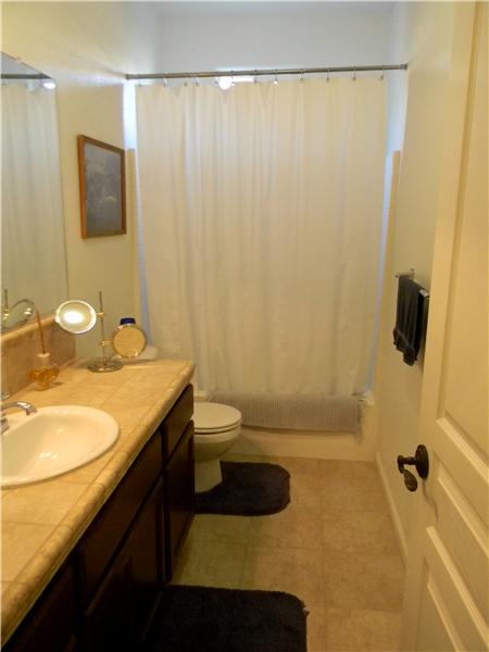 The downstairs bathroom