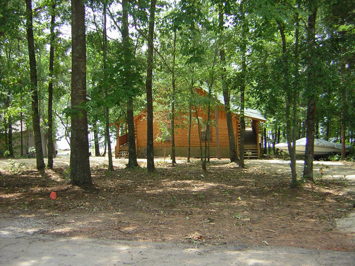 over 1 acre land surrounding log cabin