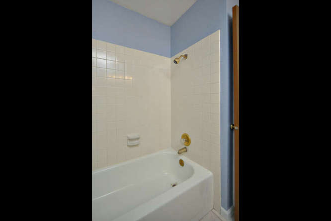 Tub and shower in hal bath