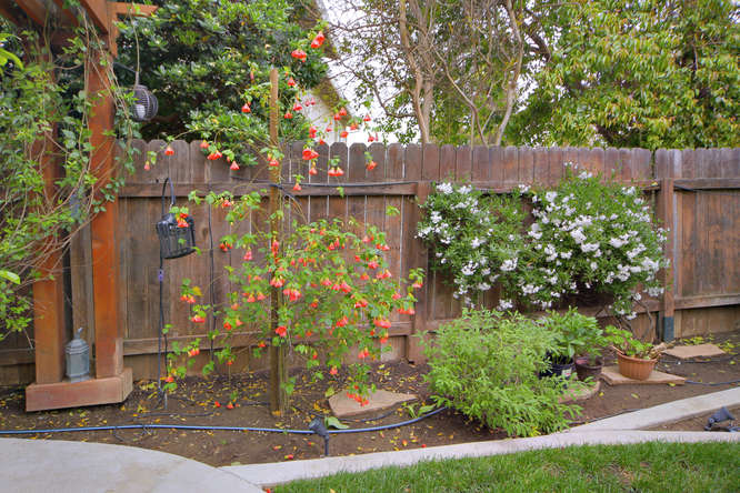 Lush Landscaping