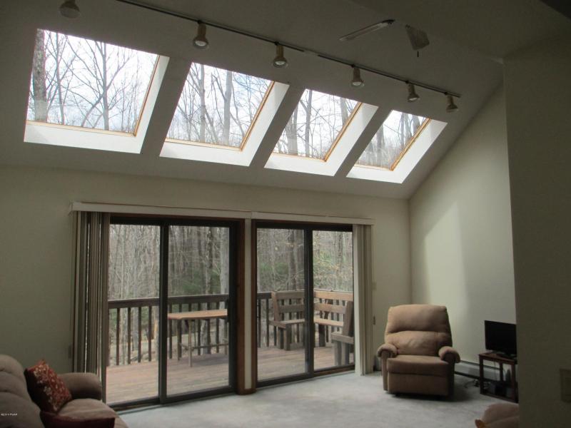 LIVING ROOM SKYLIGHTS- LOTS OF SUNLIGHT 