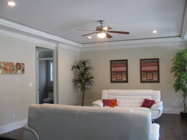 Bright Living room with ceiling fan