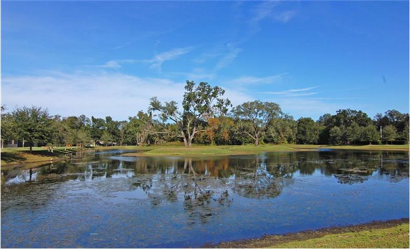 Waterview within the community.