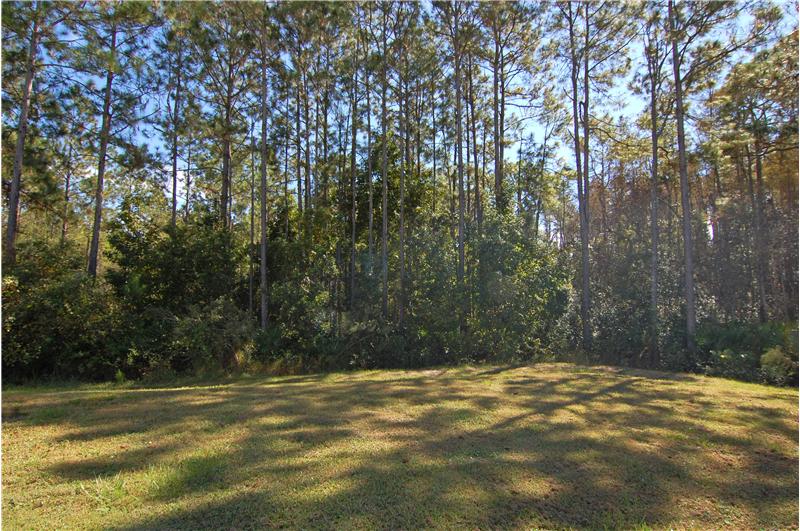 Conservation View at Side & Rear of Home