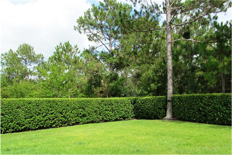 Nice Back Yard