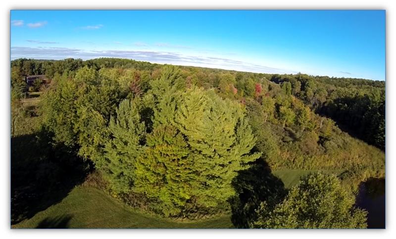 Aerial View of Woods