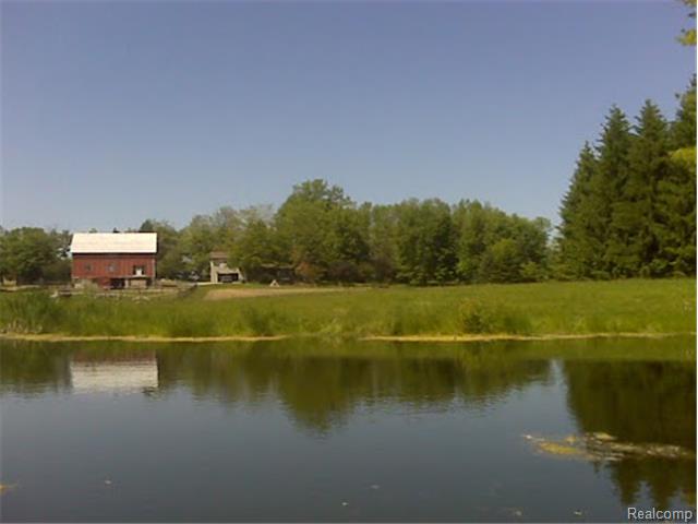 Summer View of Pond