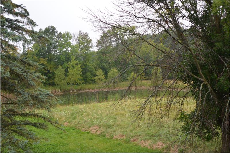 65.5 Acres With Ponds