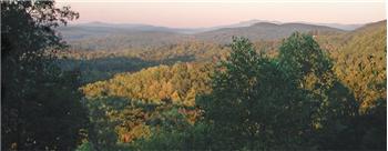 Primary listing photos for listing ID 350206