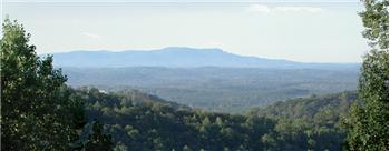 Primary listing photos for listing ID 350437