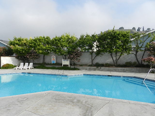 19842 Canyon View Dr Community Pool