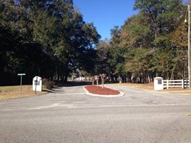 Mint Farms Beautiful Lush Tree Lined Entrance