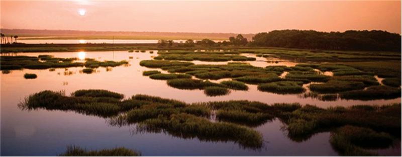 Scenic Waterfront Beaufort View near Mint Farms