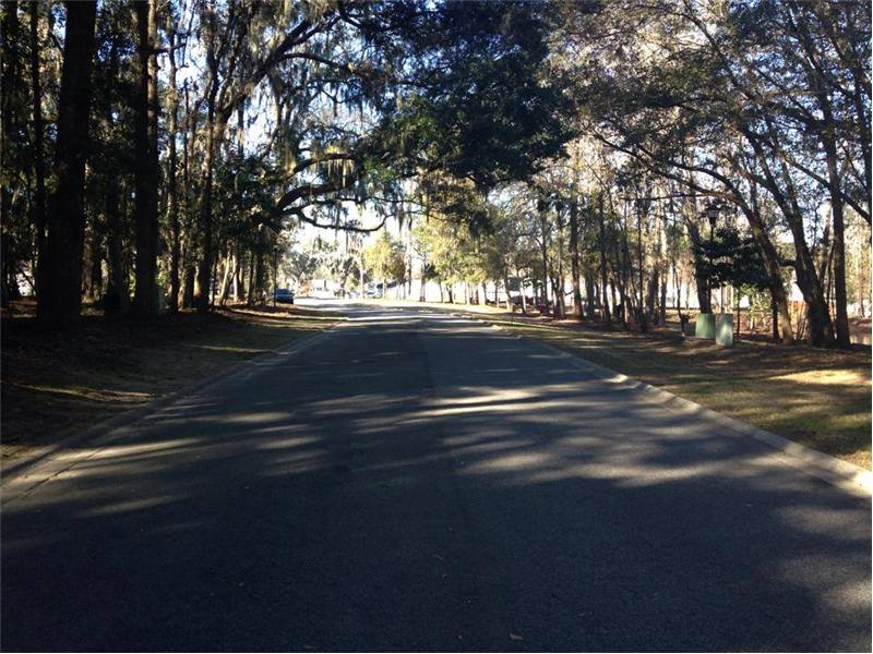 Mint Farm Tree lined road